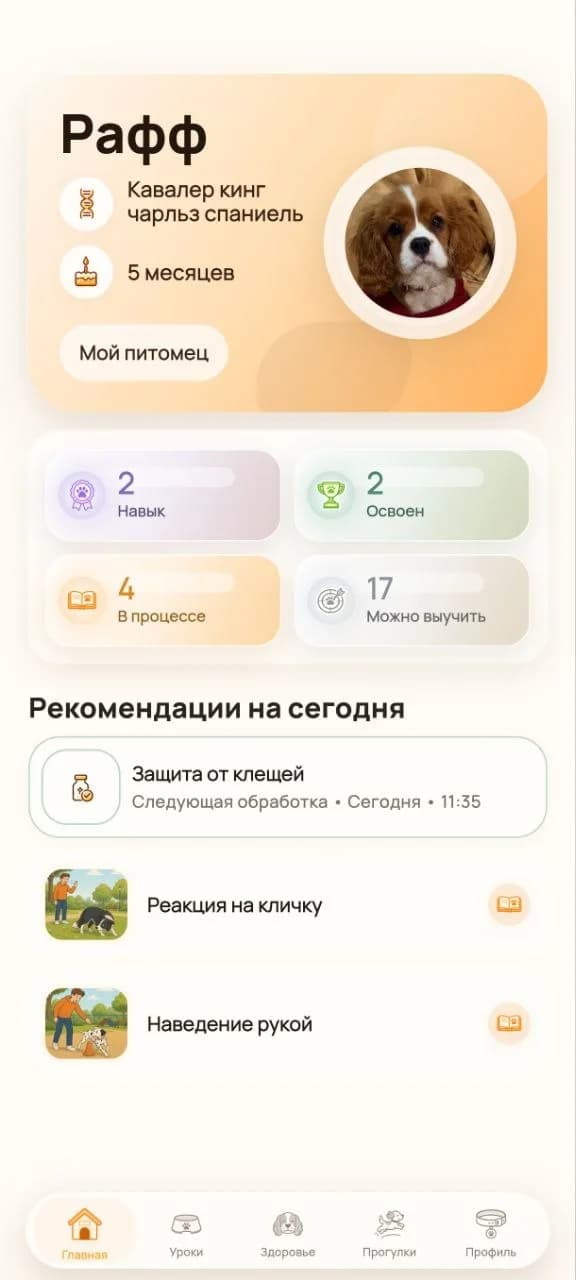 Главный экран приложения Рафф