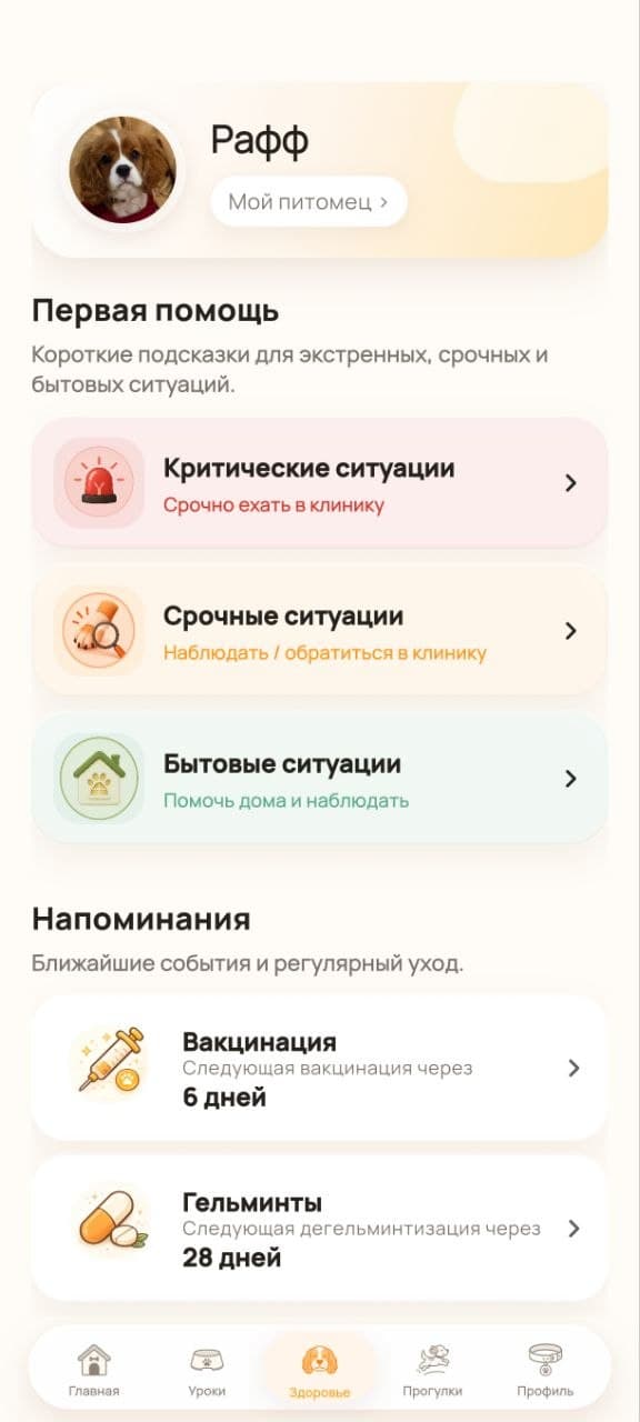 Здоровье в приложении Рафф