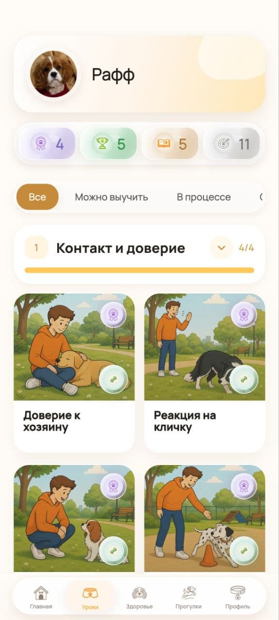 Обучение в приложении Рафф